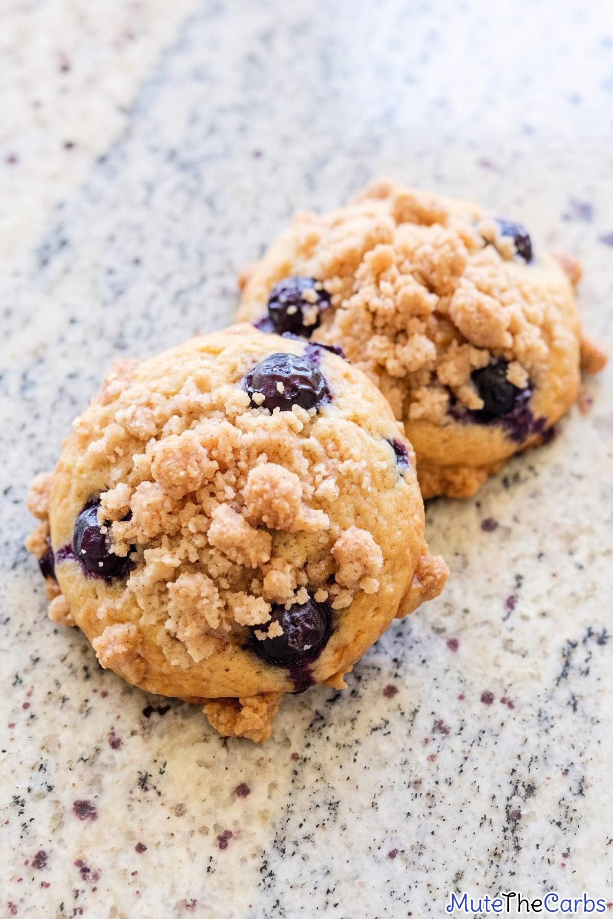 Fresh baked low carb blueberry cookies