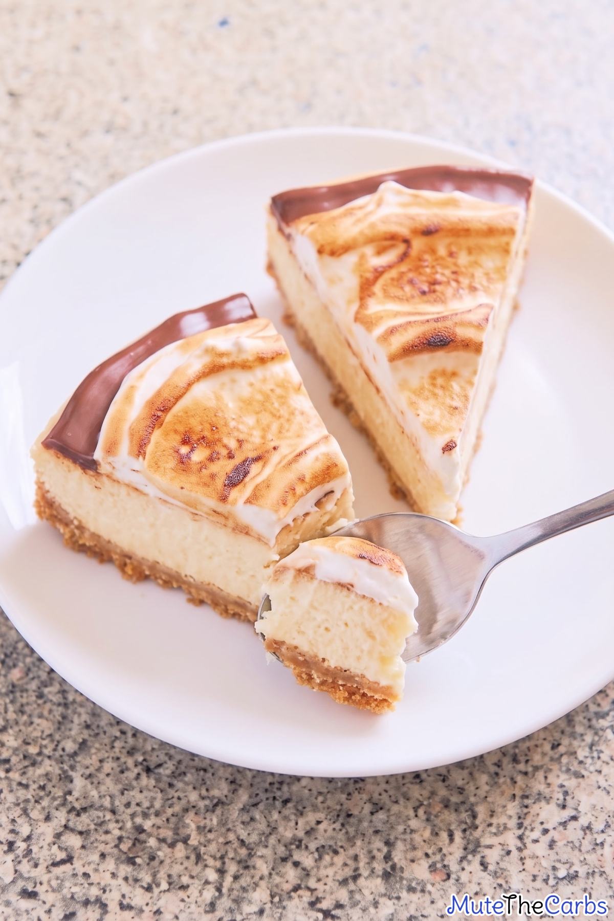 Rich keto s'mores cheesecake with cocoa